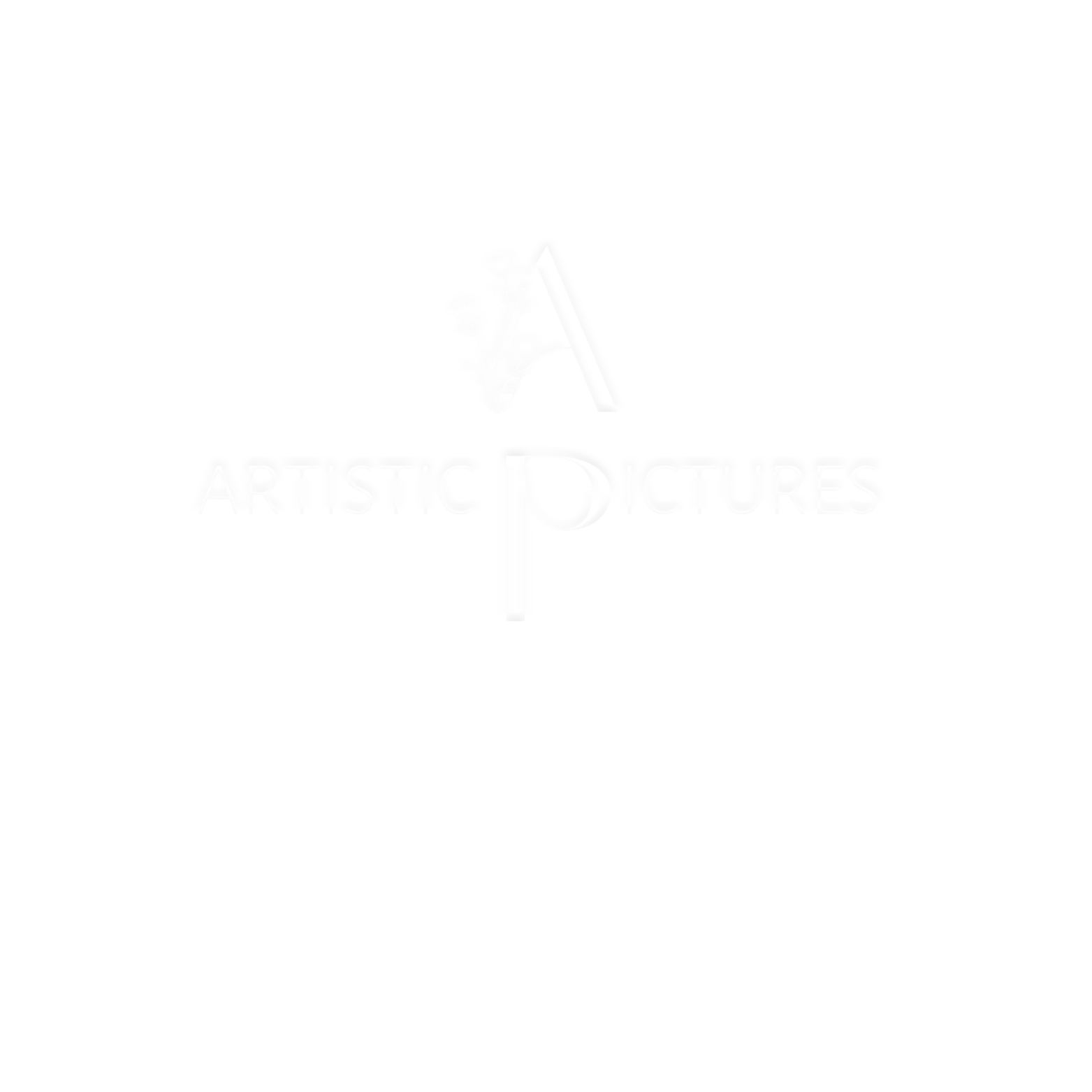 Artistic Pictures Production
